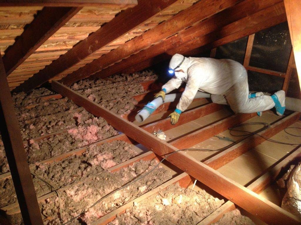 Insulation extraction Insulation extraction